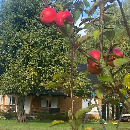 Vila Wakacyjny Dom W Sakach Kleszczele Exteriér fotografie