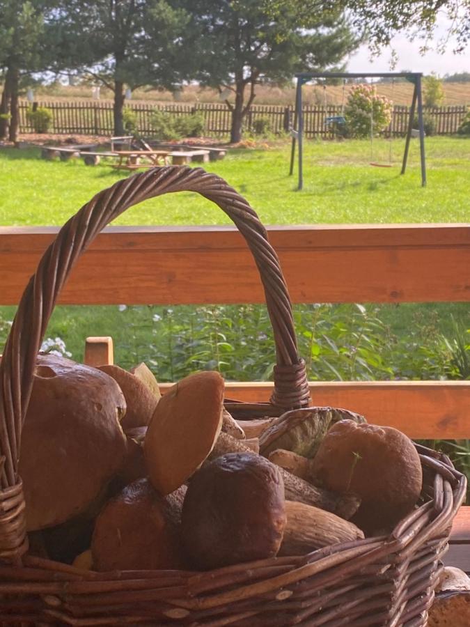 Vila Wakacyjny Dom W Sakach Kleszczele Exteriér fotografie