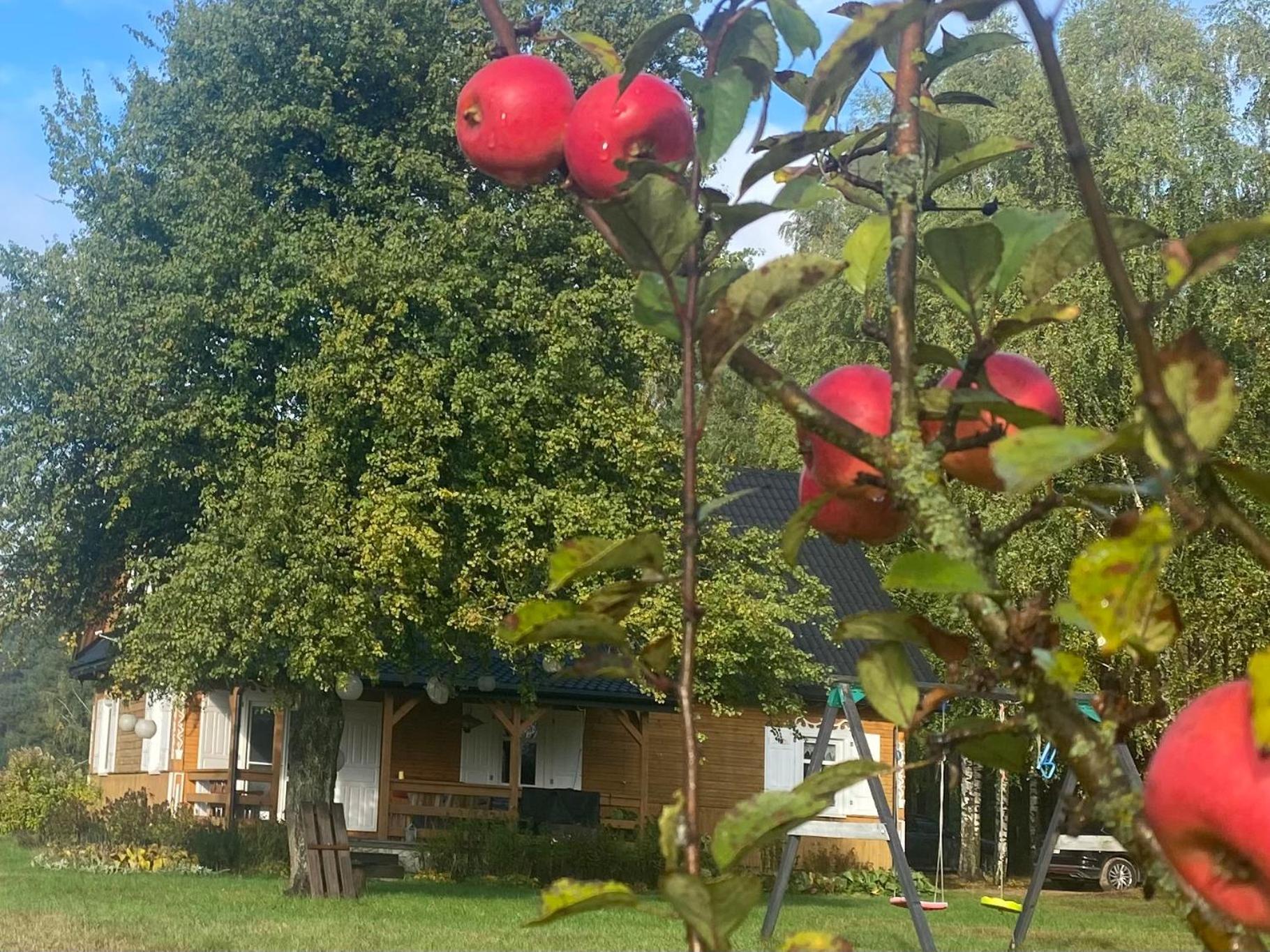 Vila Wakacyjny Dom W Sakach Kleszczele Exteriér fotografie